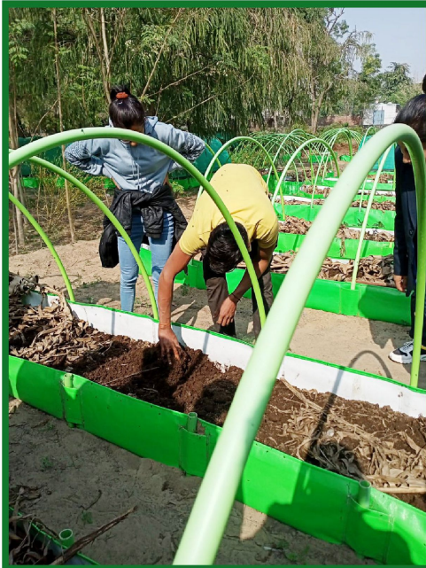 Organic Farming Course